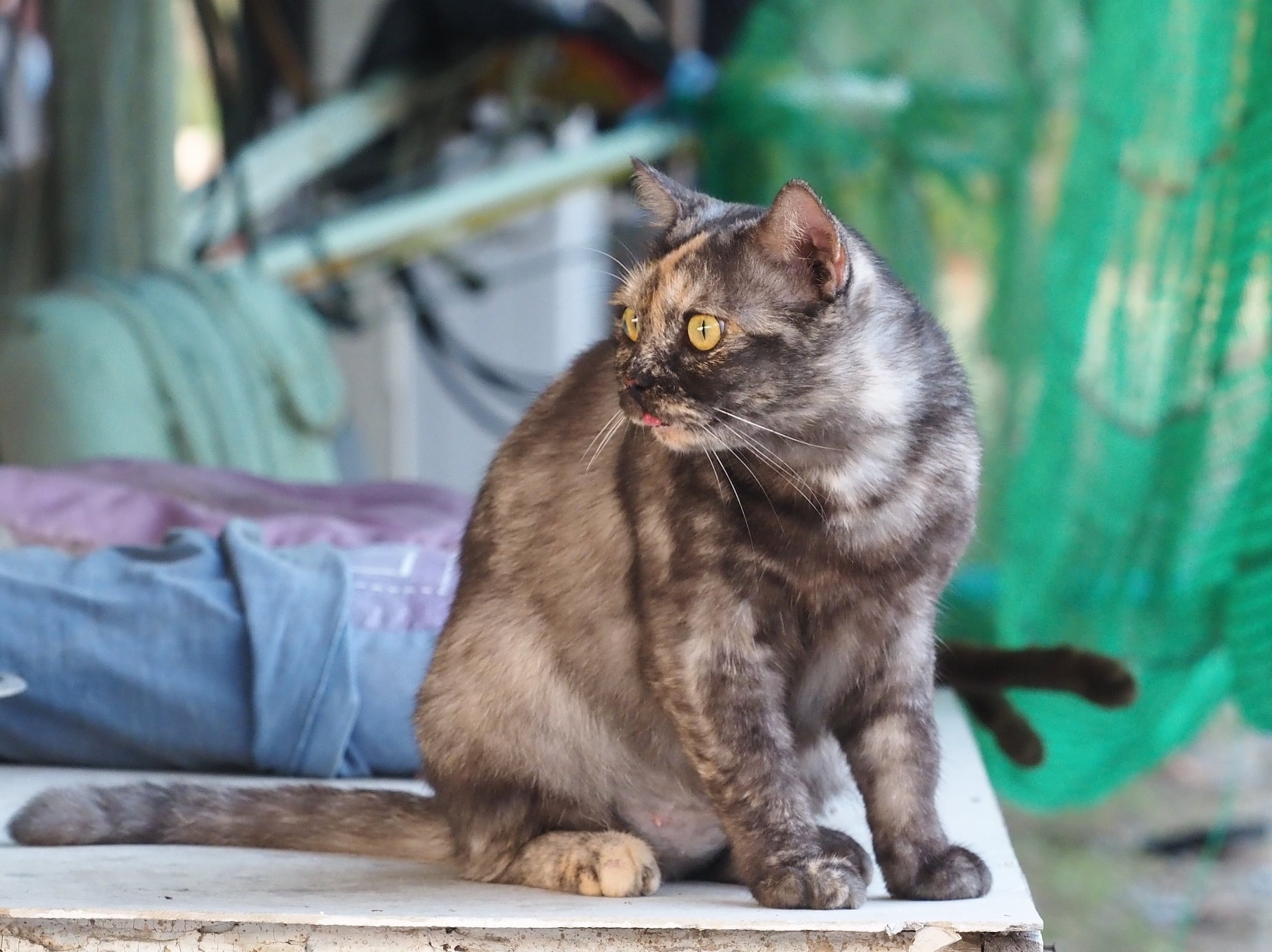 พอเย็นย่ำ ค่ำเรา ต้องเข้าบ้าน 1