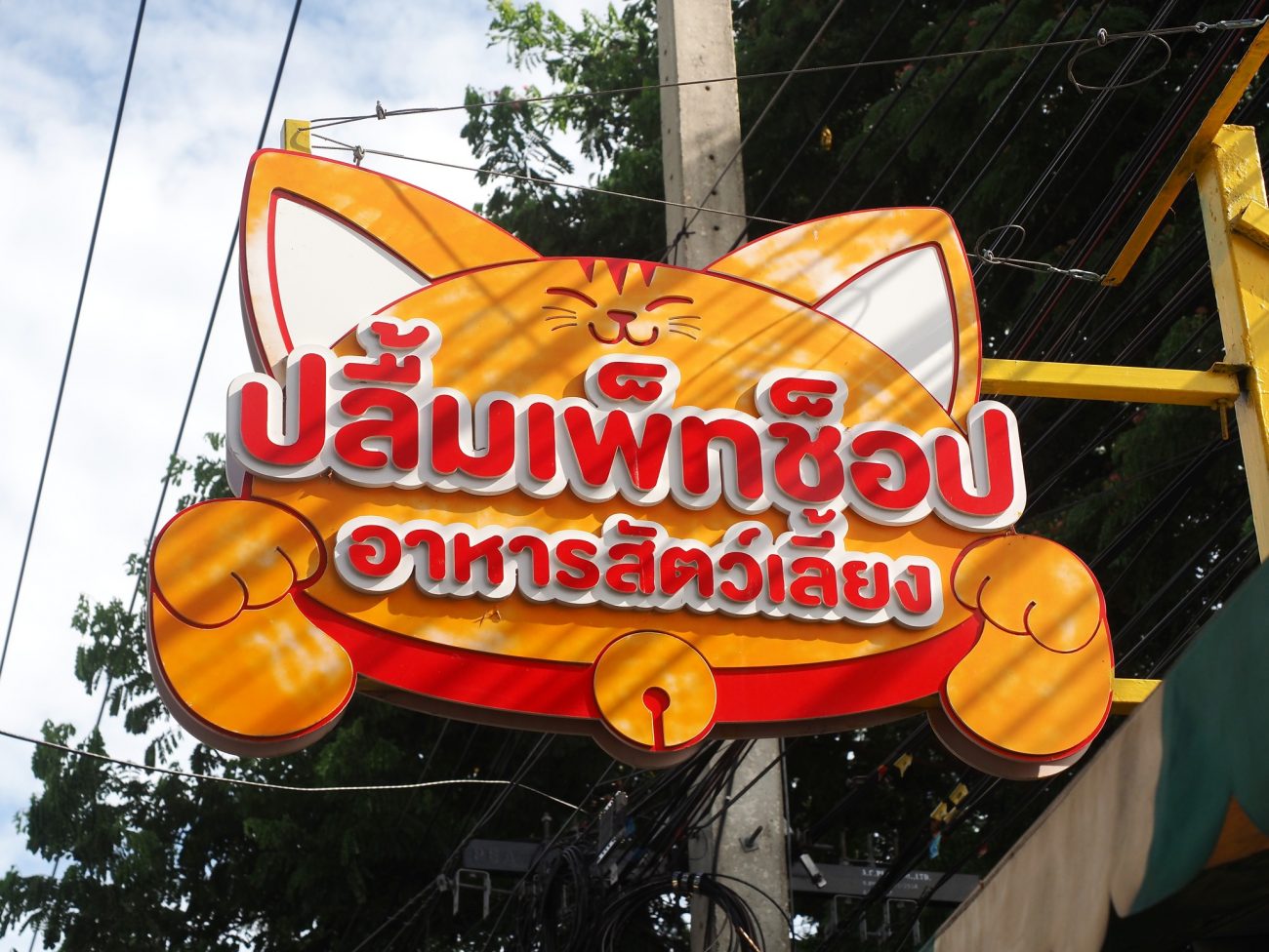 ร้านปลื้มเพ็ทช็อป อยู่ถนนเณรแก้วฝั่งเดียวกับห้างนาซ่า ขับเลยไปไม่ไกลมากก็เจอครับ ร้านอยู่ข้างทางเลย จอดรถง่าย