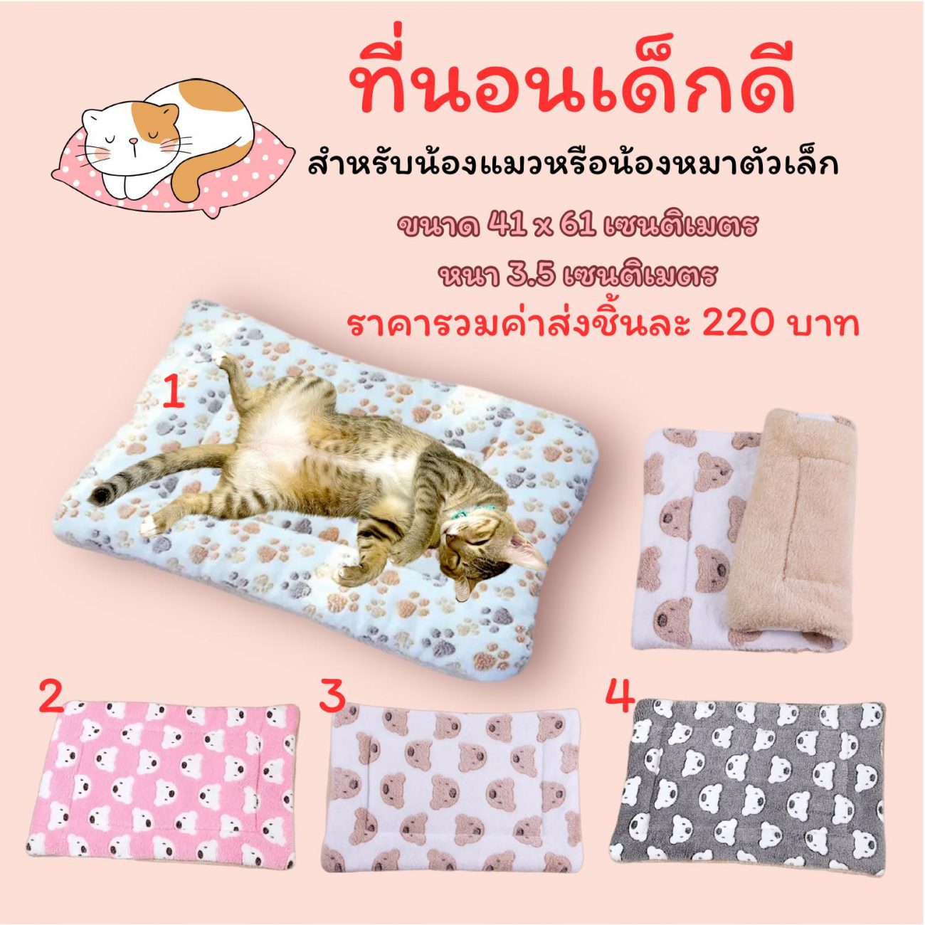 N09 - ที่นอนเด็กดี  ที่นอนนุ่ม ๆ สำหรับน้องแมวหรือน้องหมาตัวเล็ก มี 4 สีและลวดลายให้เลือก  ขนาด 41 x 61 เซนติเมตร หนา 3.5 เซนติเมตร  ราคารวมค่าส่งชิ้นละ 220 บาท