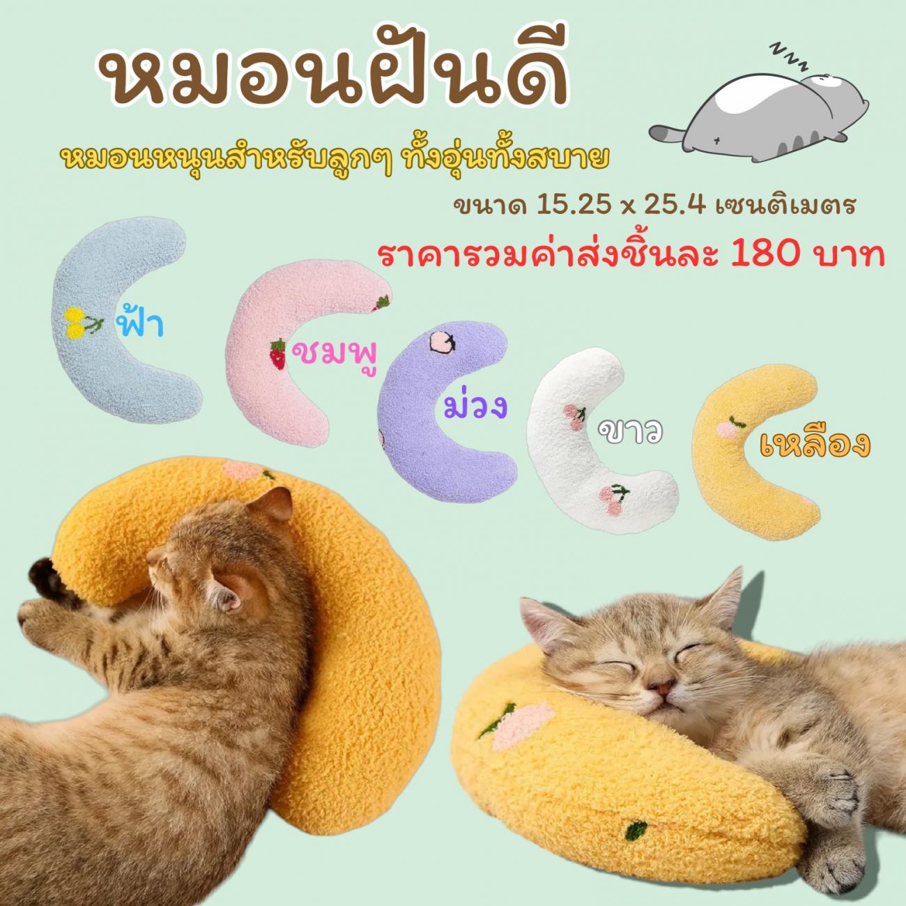 N07 - หมอนฝันดี  หมอนหนุนสำหรับลูก ๆ ทั้งอุ่น ทั้งสบาย มี 5 สีให้เลือกด้วยกัน  - ฟ้า
- ชมพู
- ม่วง
- ขาว
- เหลือง  ขนาด 15.25 x 25.4 เซนติเมตร  ราคารวมค่าส่งชิ้นละ 180 บาท